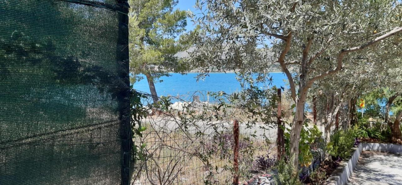 Apartmani Ante Trogir Extérieur photo